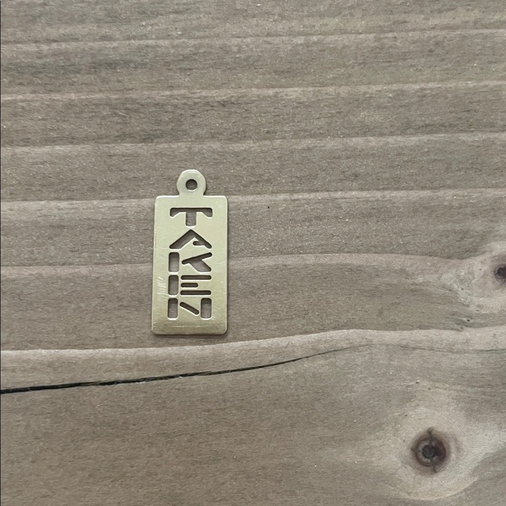 TAKEN 14K gold Charm